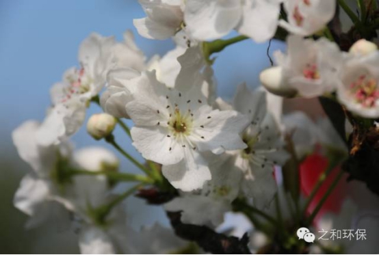 2016之和优质供应商大会圆满结束